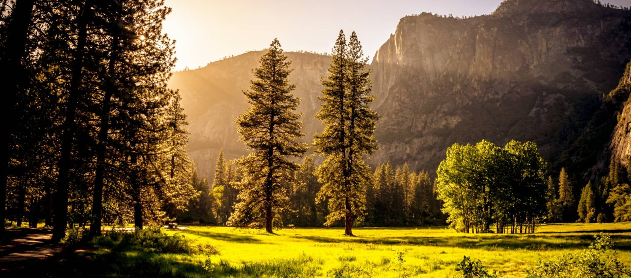 Trees and mountain in sunny nature landscape.